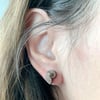 Nautilus Shell Stud Earrings