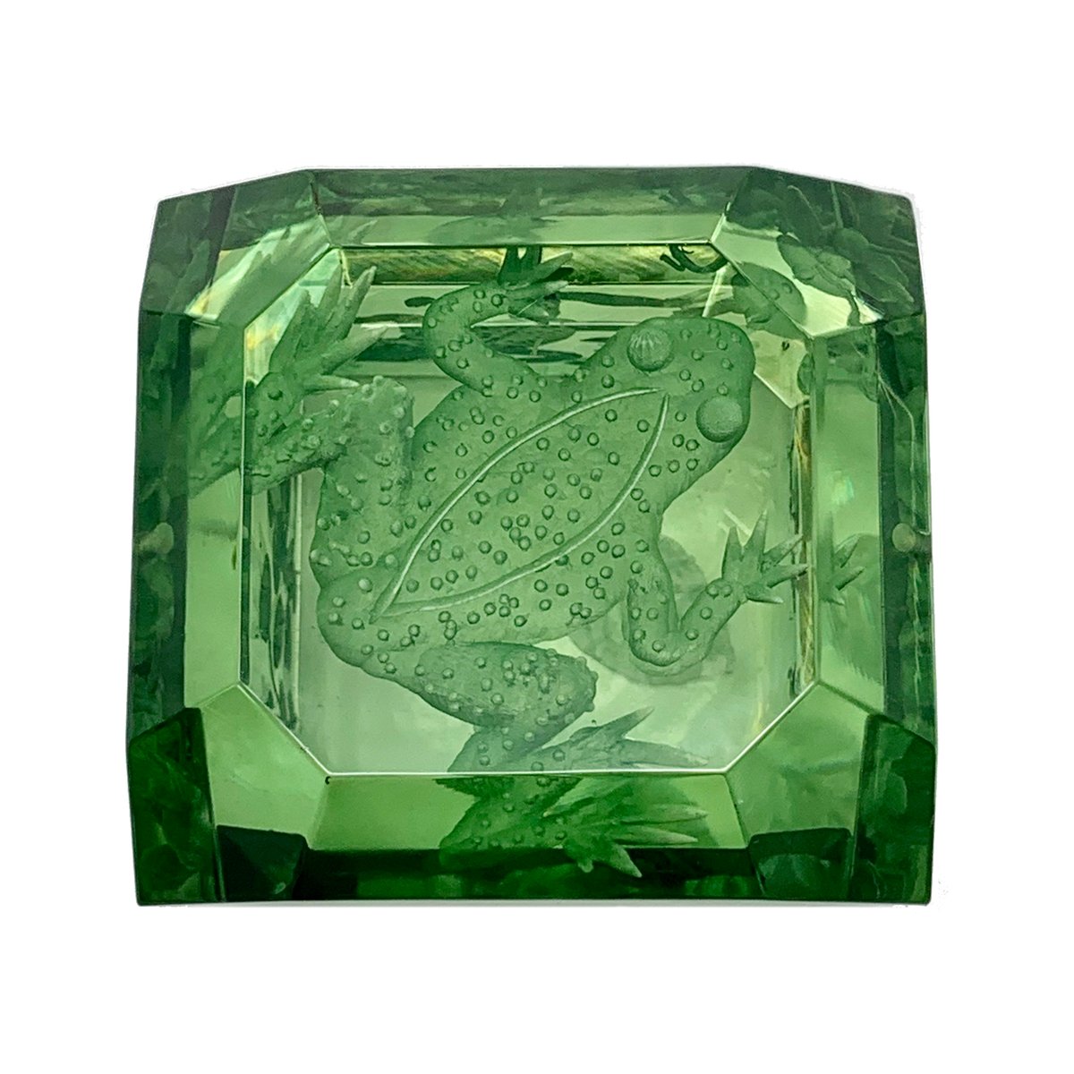 Image of Green Frog Jumbo Mini Lucite Box