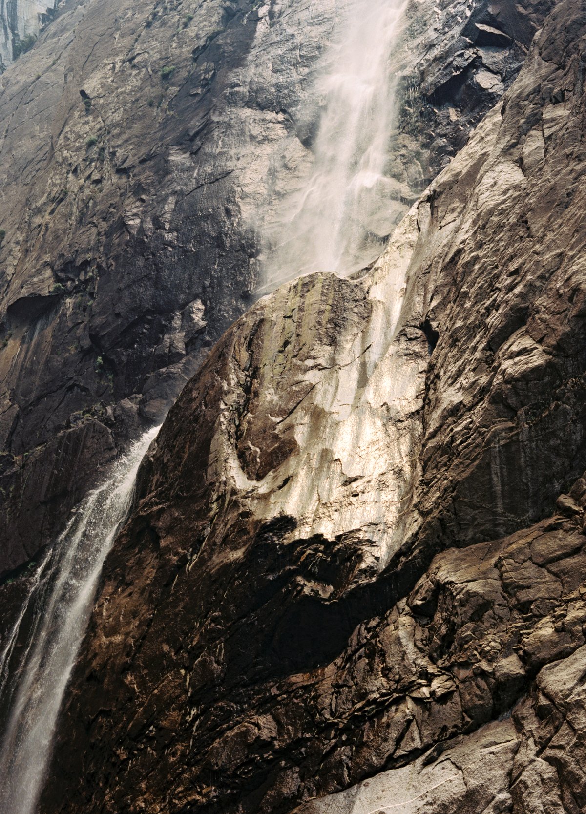 Image of Prints (3 sizes)