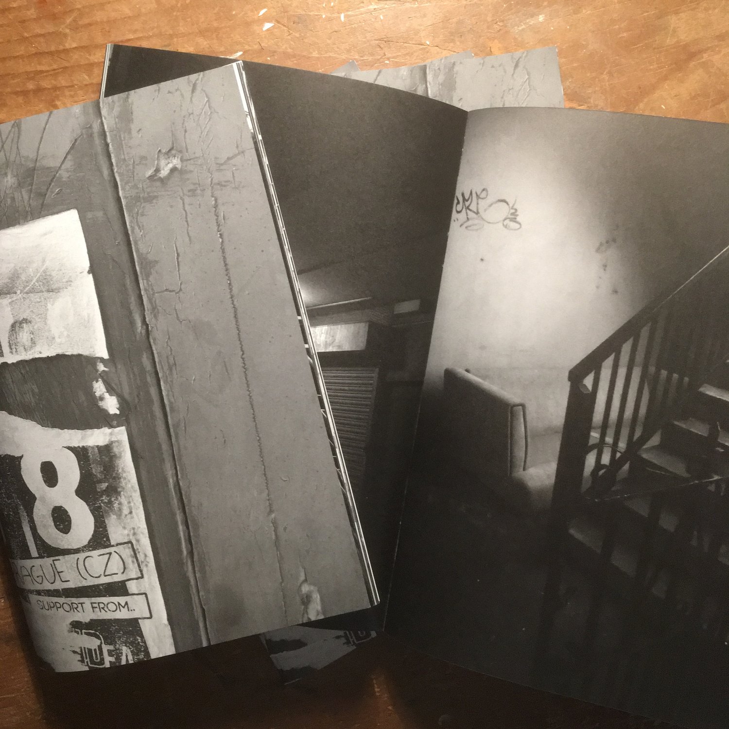 Image of I Would Never Come Back to You