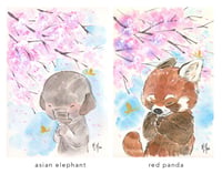 Image 2 of Sakura Wishes 5 x 7" Prints