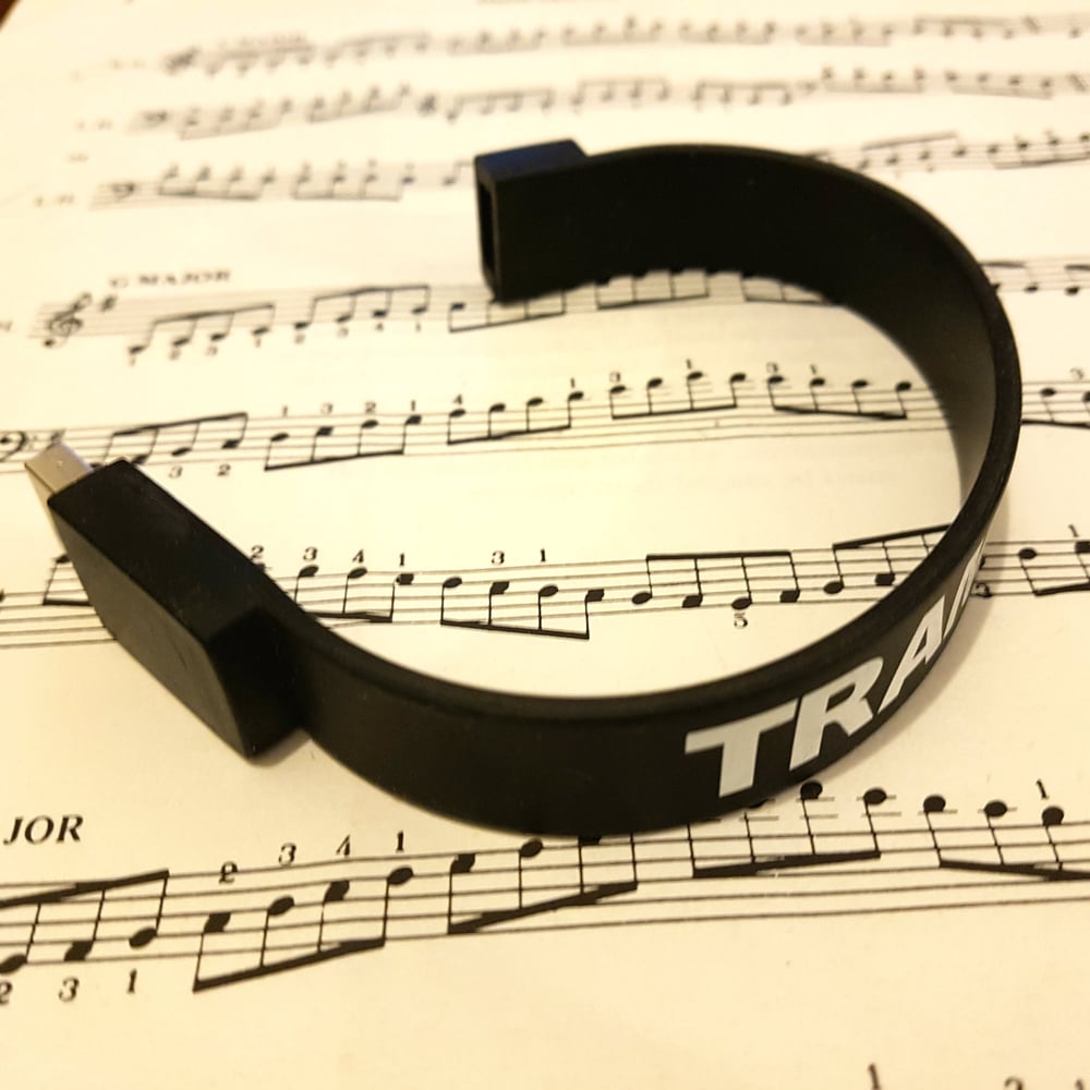 VERY RARE Pocket Album One USB wristband