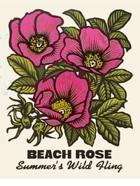 Beach Rose