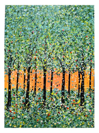 Image 2 of Sunset Forest 