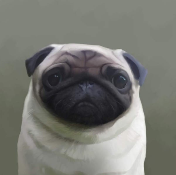 Image of Pugly