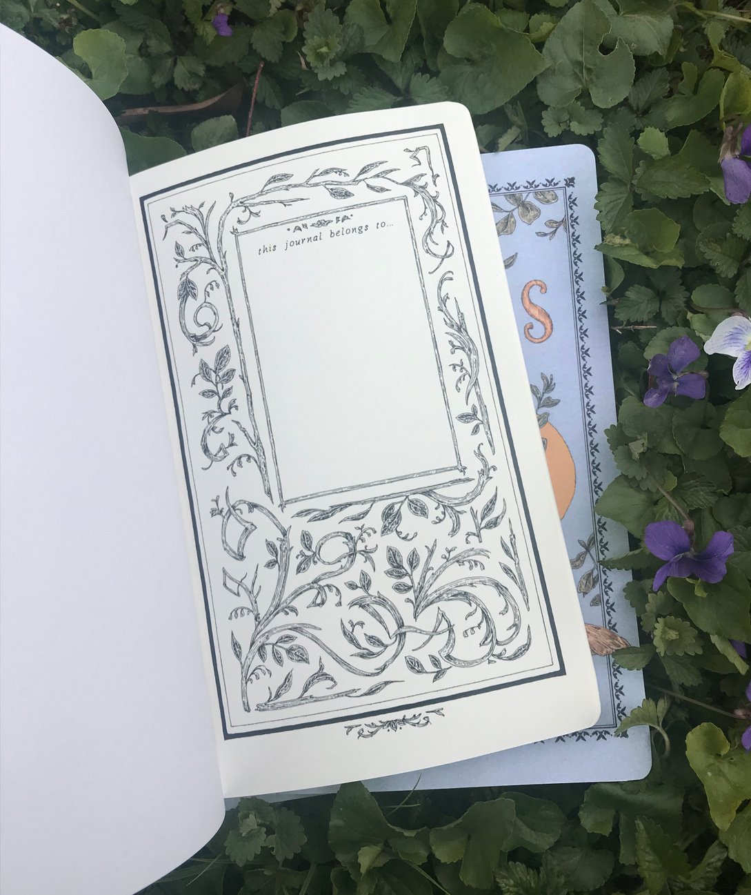 Victorian Bird Notebook | Jessica Roux