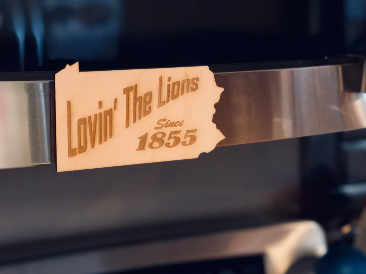 Image of Lovin’ the Lions Magnet 