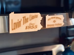 Image of Lovin’ the Lions Magnet 