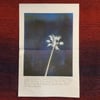TJO self titled lp with newsprint poster insert (2017 GNOMONSONG)