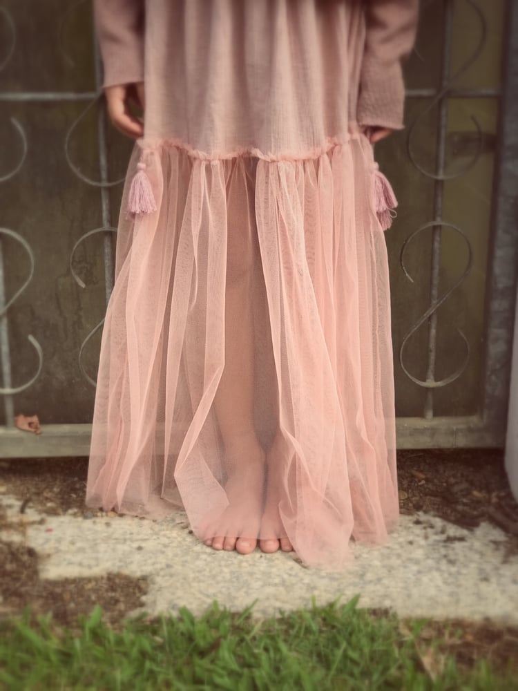 Image of ‘haze’ maxi skirt in rose