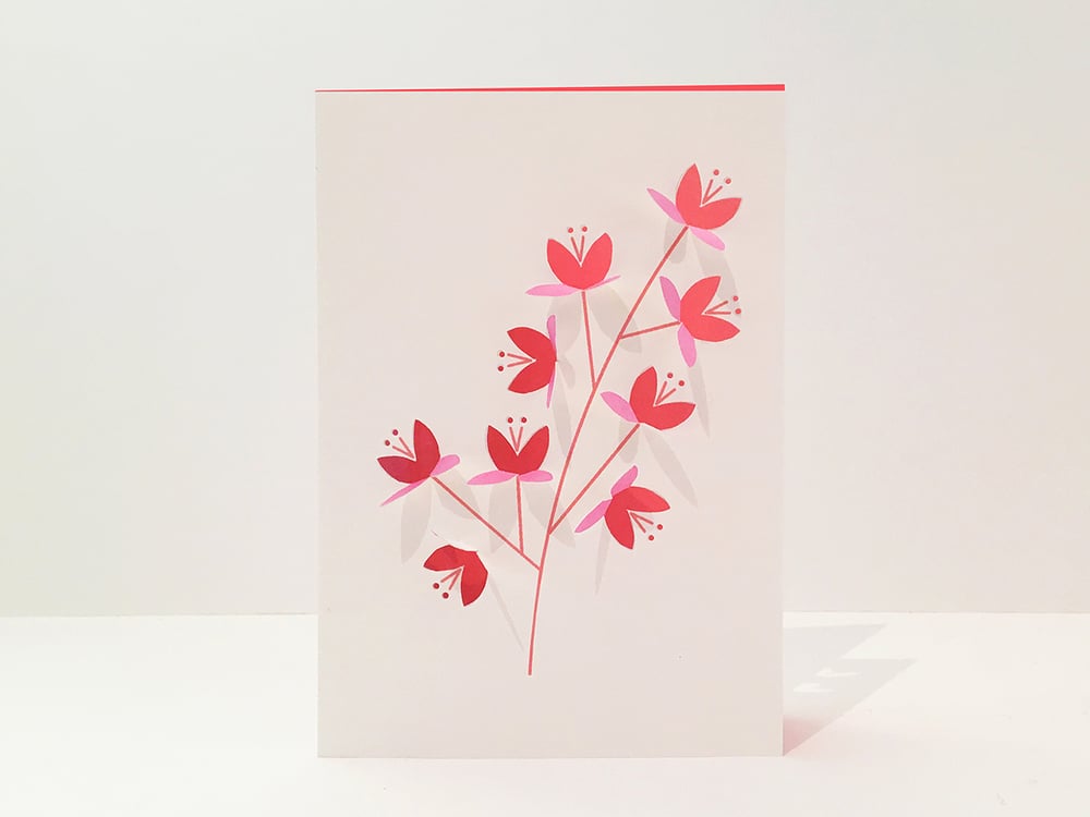 Image of 2x Blossom Fold Out Cards