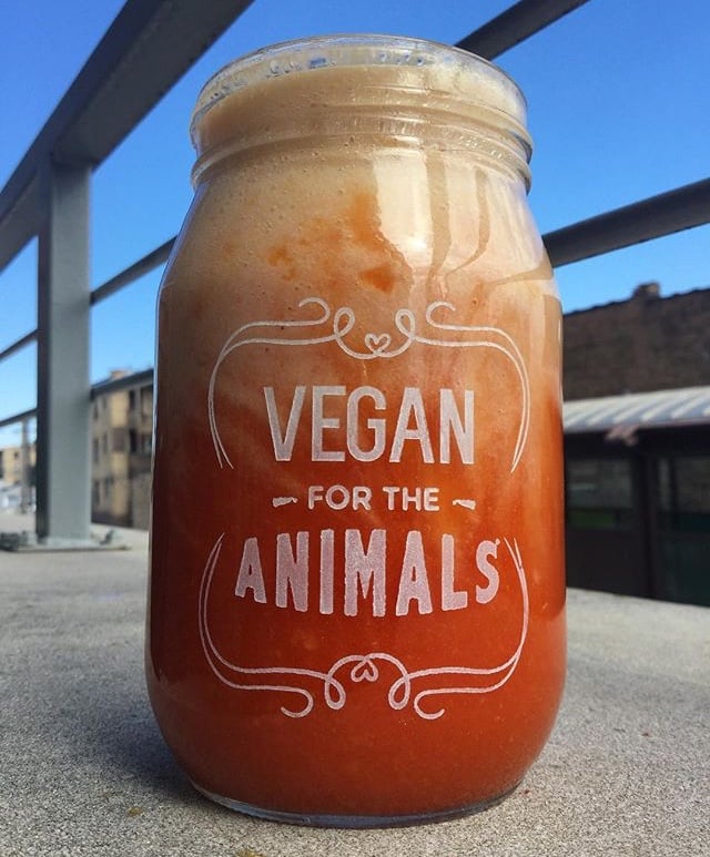 Image of Vegan for the animals mason jar 