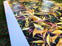 Image 2 of "Floorgazing" 13x19 (Signed + numbered edition of 25)