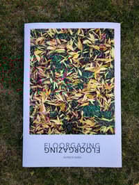 Image 1 of "Floorgazing" 13x19 (Signed + numbered edition of 25)