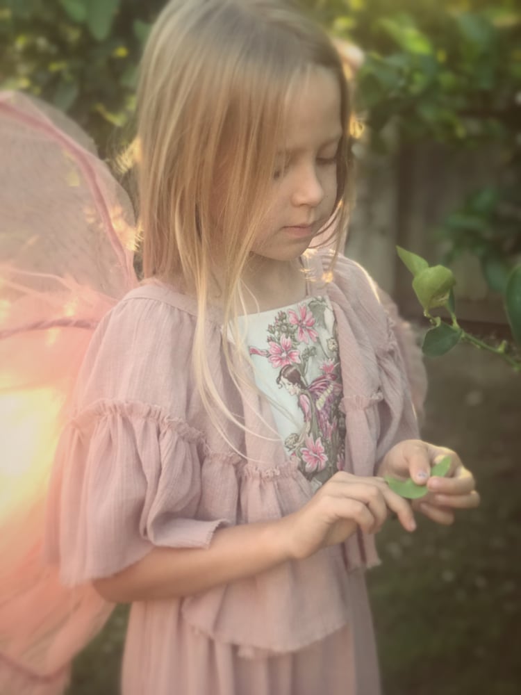 Image of ‘blossom’ flower fairy dress in dusty rose