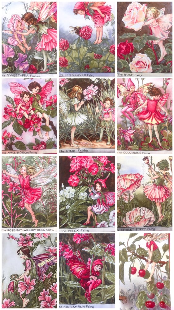 Image of ‘blossom’ flower fairy dress in dusty rose