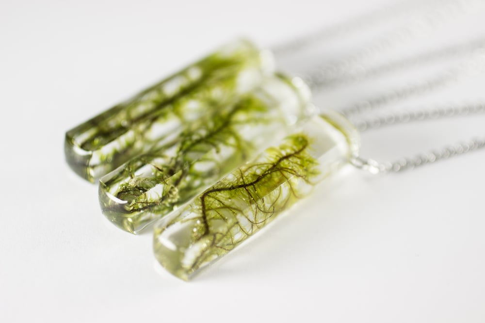 Image of Moss Specimen Necklace - Rectangular Prism