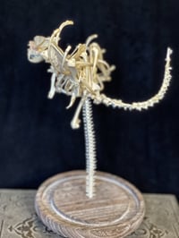 Image 2 of Bone Dragon - Sculpture 