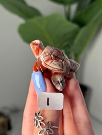Image 9 of CHOOSE YOUR OWN MINI SOAPSTONE TURTLES