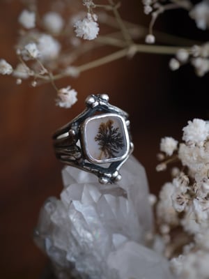 Image of MINYADES : DENDRITIC AGATE I { OOAK }