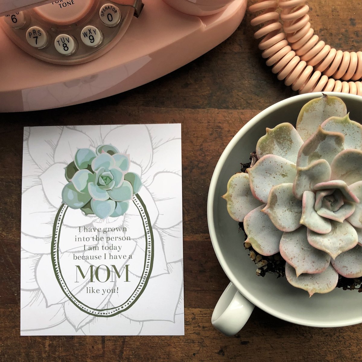 Mother's Day Succulent Card