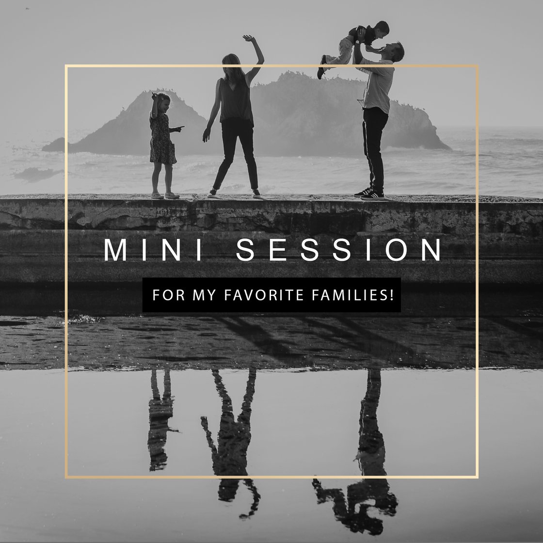 Image of Family Mini Sessions 2019