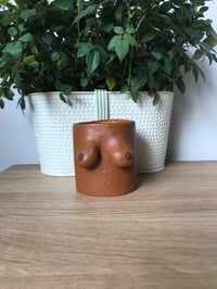 Handmade boob pot 2