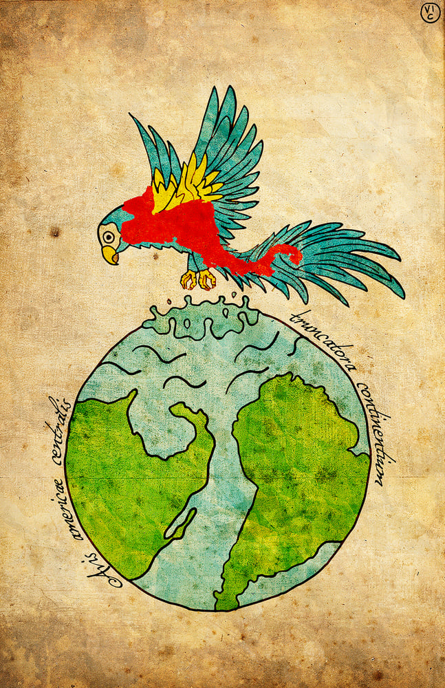 Image of Central American Bird -  Breaker of Continents POSTER