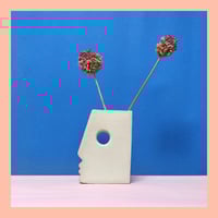 Image 1 of strong nose - PRE SALE