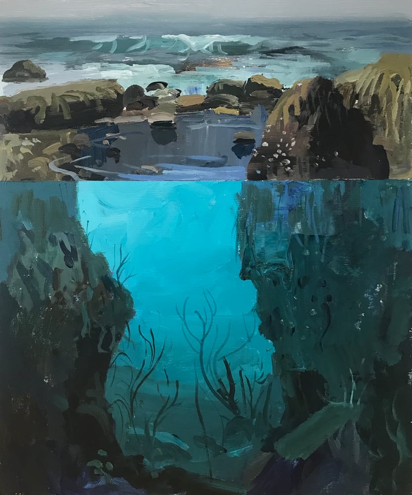 Image of Tide Pool study No 4