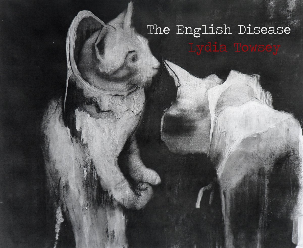 Image of The English Disease by Lydia Towsey