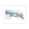 Irises, Archival Paper Print 