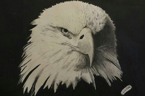 Image of Angry Bird