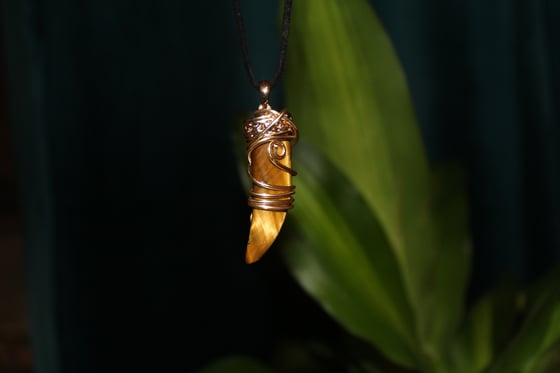 Image of Tigers Eye Sabor tooth Unisex necklace