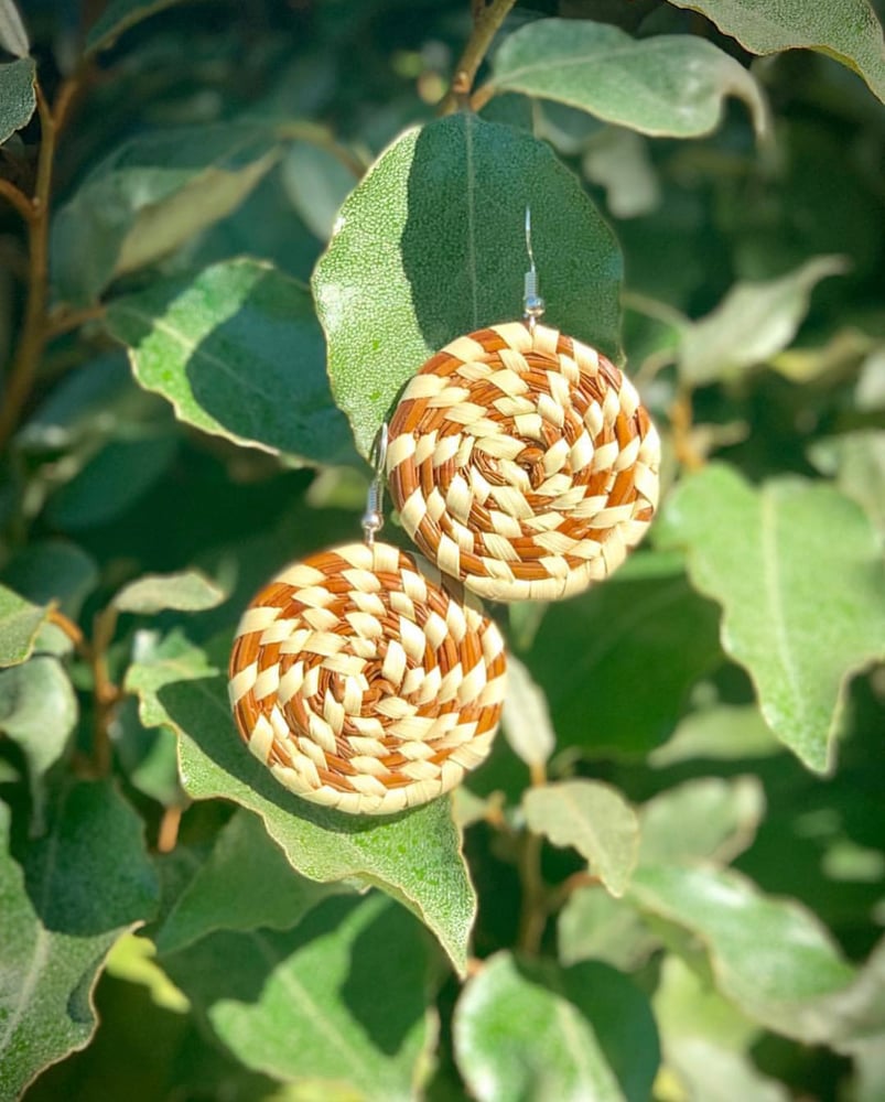Image of Solid Pine Needle Earrings 
