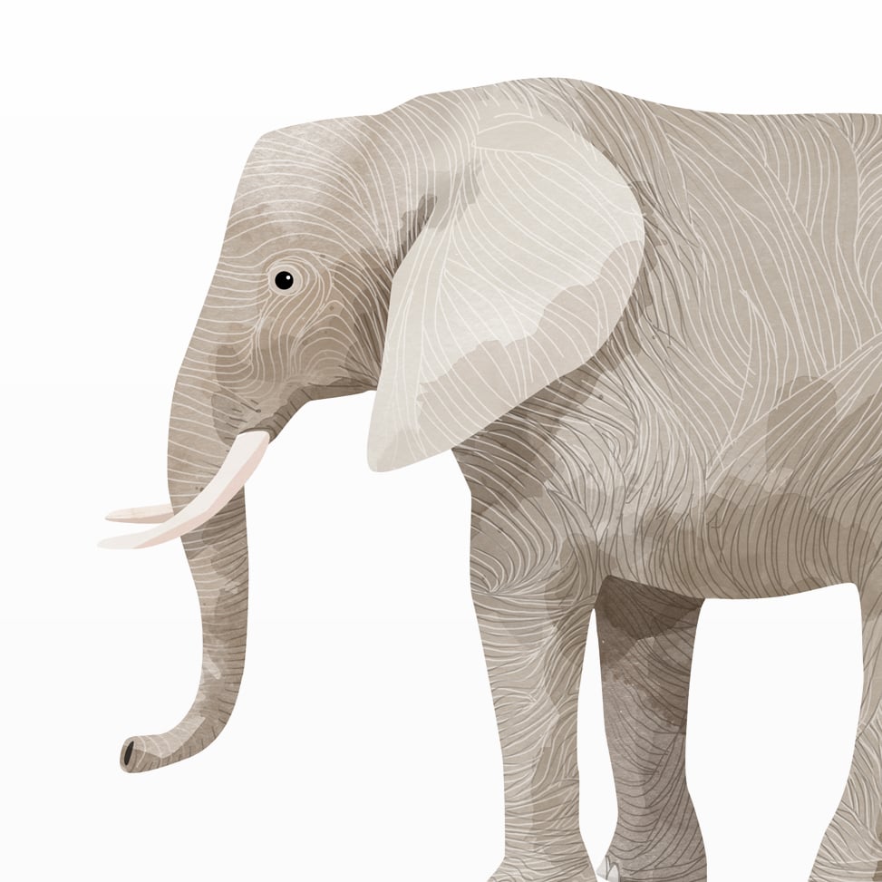 Print: Elephant