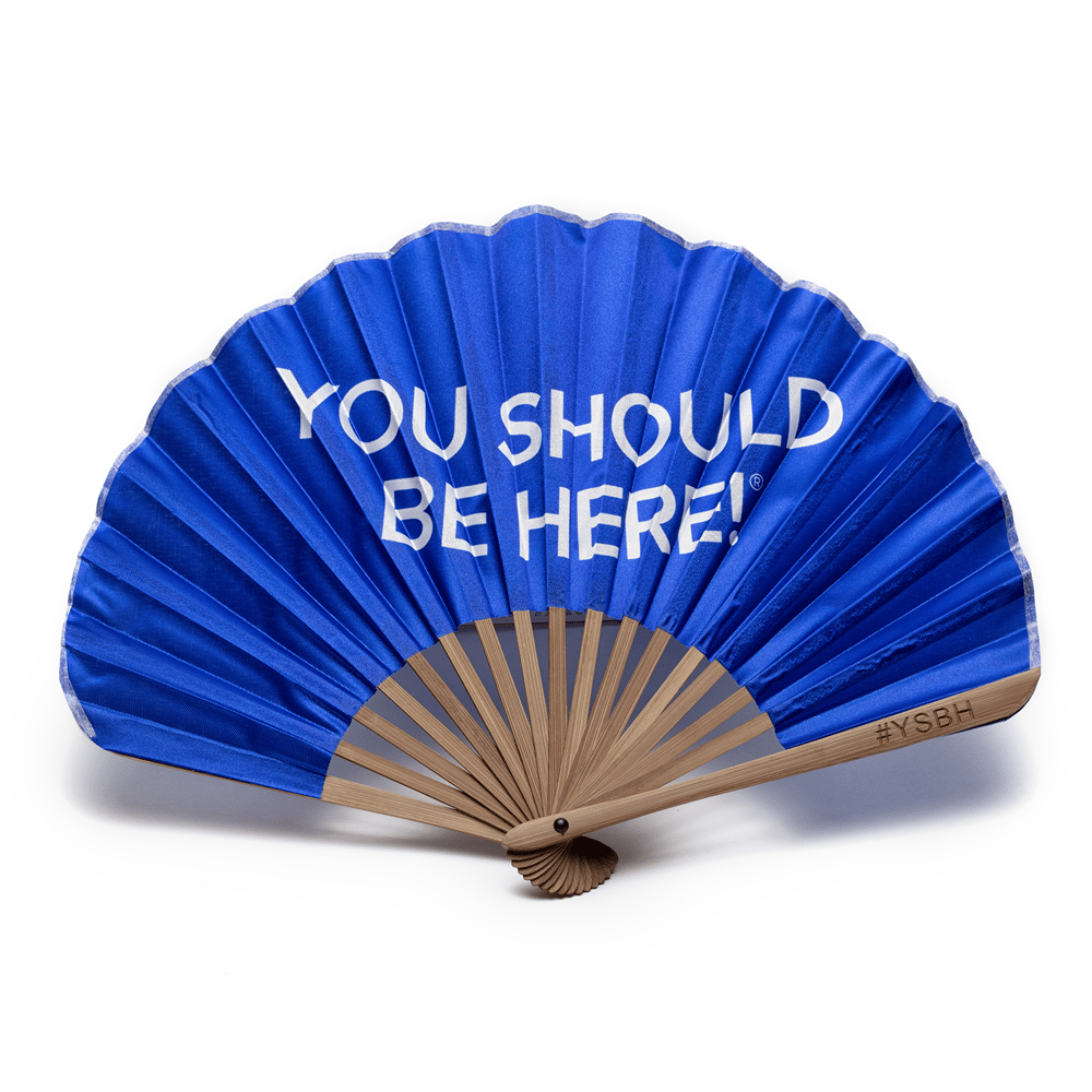 Image of You should be here fan