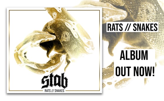 Image of STAB - RATS // SNAKES 