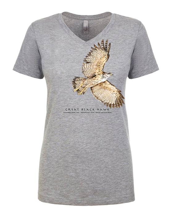 Image of Great Black Hawk Ladies V-neck t-heather gray