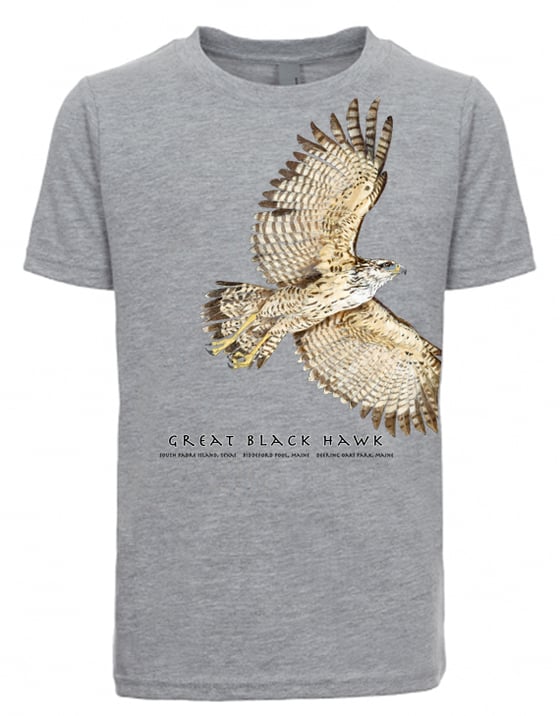 hawk and chick shirt