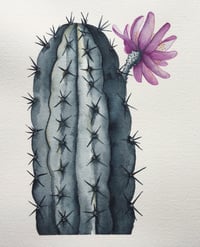 Payne's grey cactus with flower - 8"x10" watercolor print