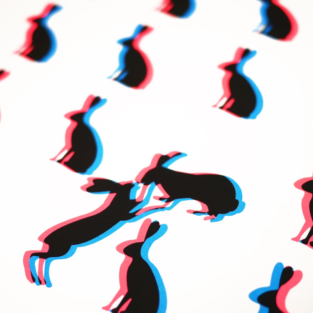 Bunny Love (Fluoro Pink & Blue 3D Screenprint)