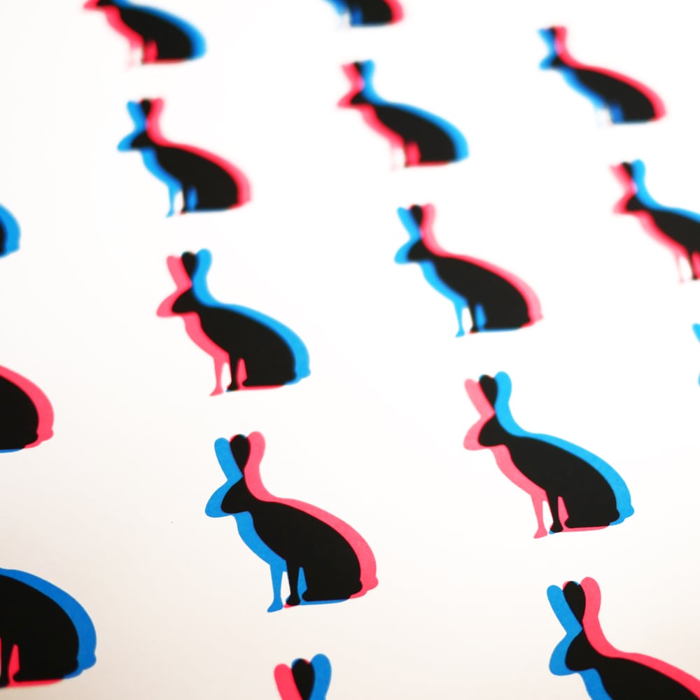 Bunny Love (Fluoro Pink & Blue 3D Screenprint)