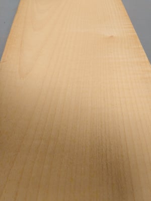 Image of European Sycamore (92)