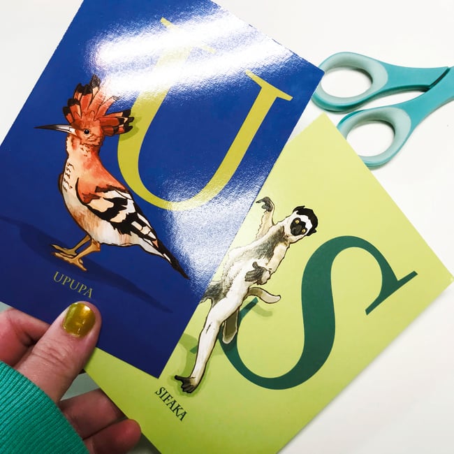 A-Z UNDER APPRECIATED ANIMALS SERIES Postcard Set (slightly imperfect)