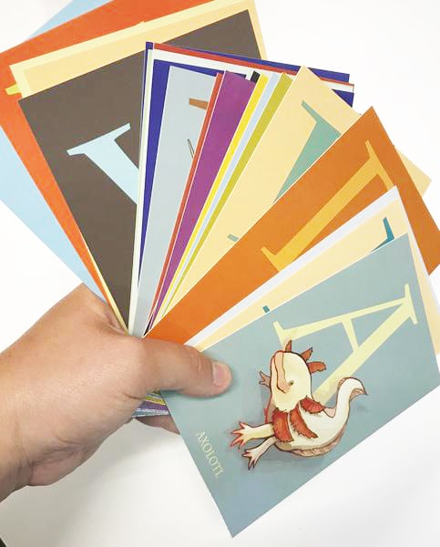 A-Z UNDER APPRECIATED ANIMALS SERIES Postcard Set (slightly imperfect)