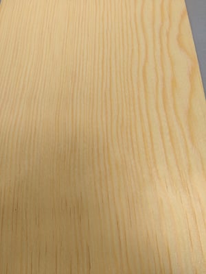 Image of Scots Pine (205)