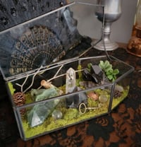 Image 3 of Coffin Crystal Garden