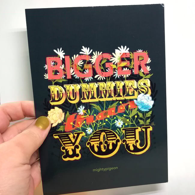 Bigger Dummies Than You// MFM// lightly damaged 4x6 & 5x7 Postcards 
