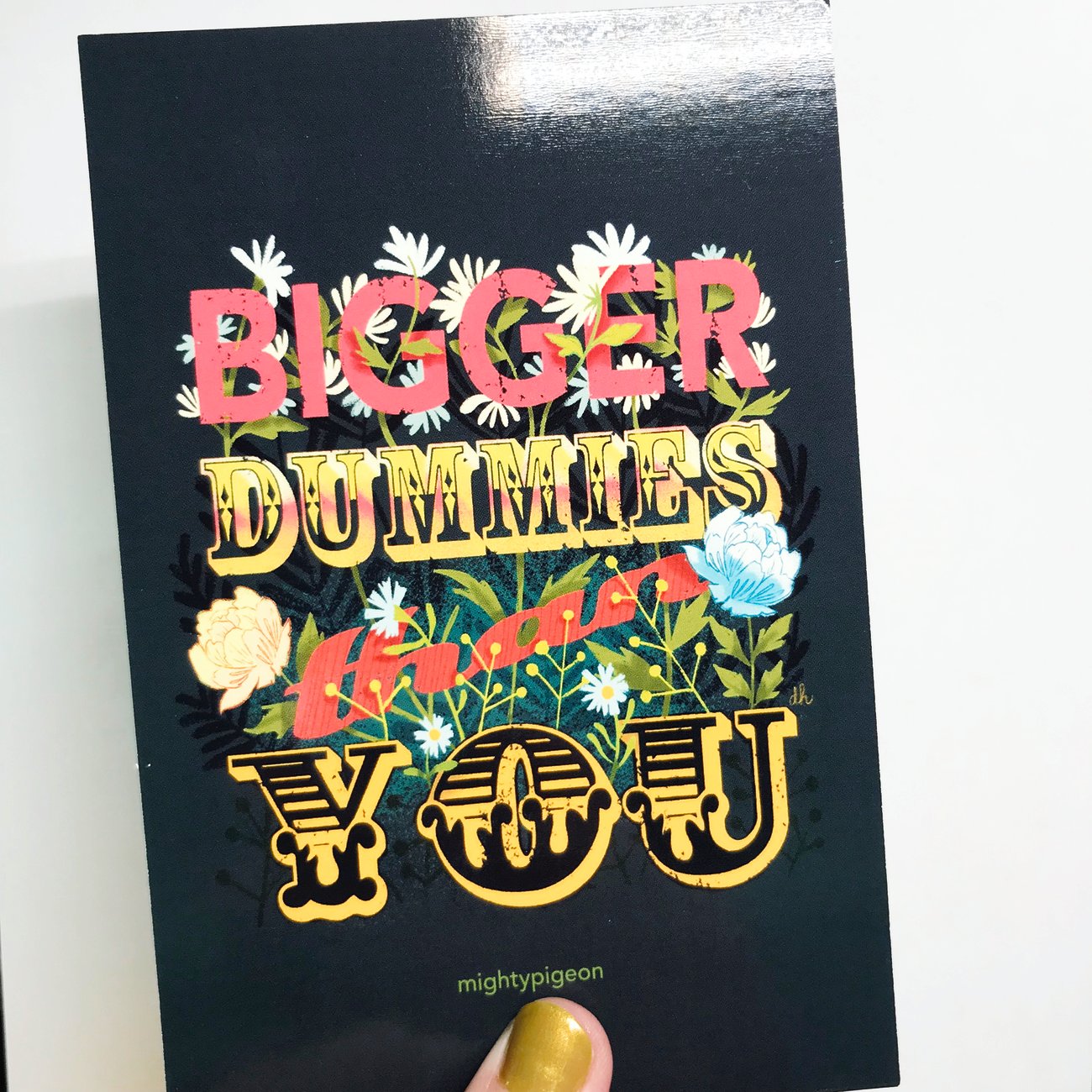 Bigger Dummies Than You// MFM// lightly damaged 4x6 & 5x7 Postcards